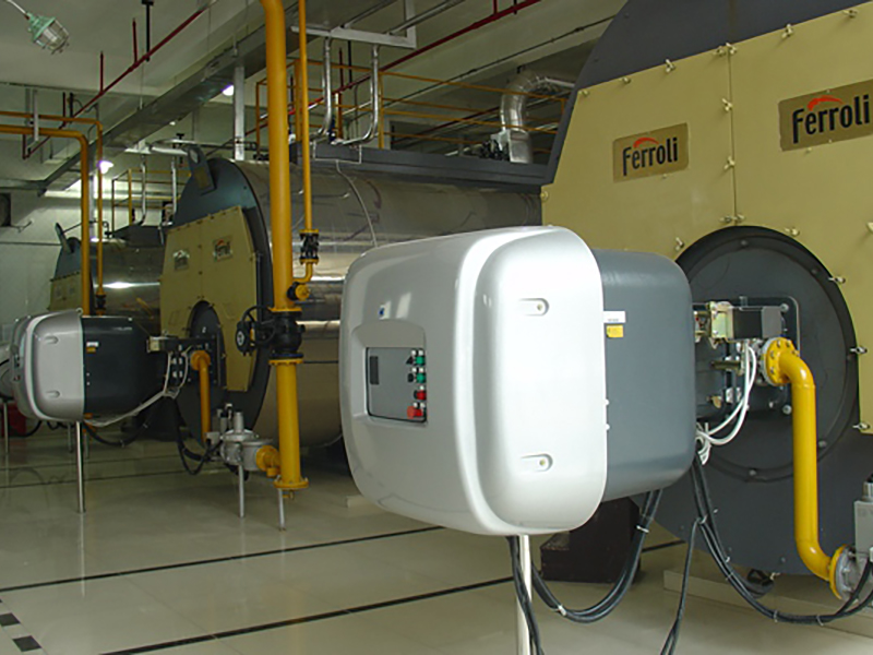 8T蒸汽鍋爐-力謳熱能設備（上海）有限公司